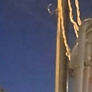 ��������, 37 ���, ����