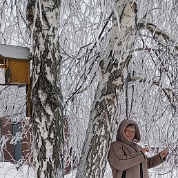 ���� �������, ������, 58 ��� - ��������� 21 ����� 2026