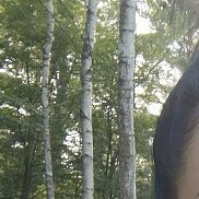 , 42 , 