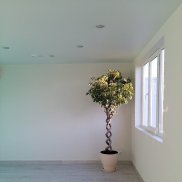 �����, 36 ���, ������-��-����