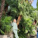 ���� �������, ������, 51 ��� - ��������� 19 ������ 2024