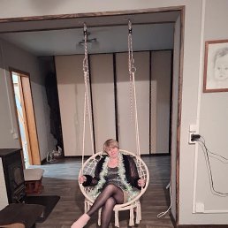 ���� �������, ������������, 51 ��� - ��������� 7 ��� 2026