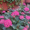 ���� ����, �����������, 64 ���� - ��������� 20 ���� 2025 � ������ ������ ��������