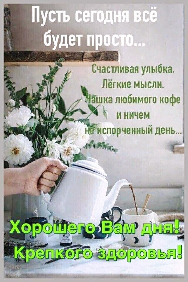   ,    . - 6  2024  23:07