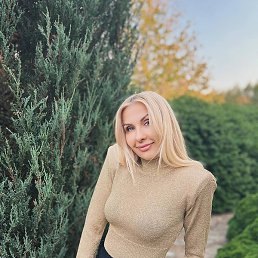 ��������, ����, 40 ���