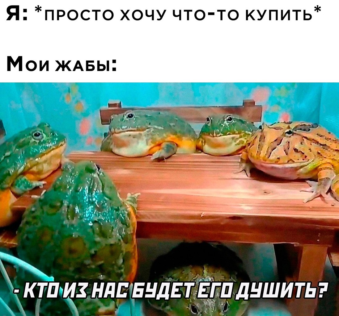  - 11  2025  21:34