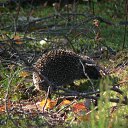 ���� ����, �����-���������, 51 ��� - ��������� 28 ������� 2024 � ������ ���� ����������