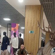 �����, 49 ���, ������