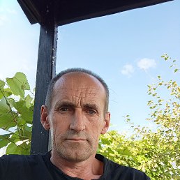 , 45, 