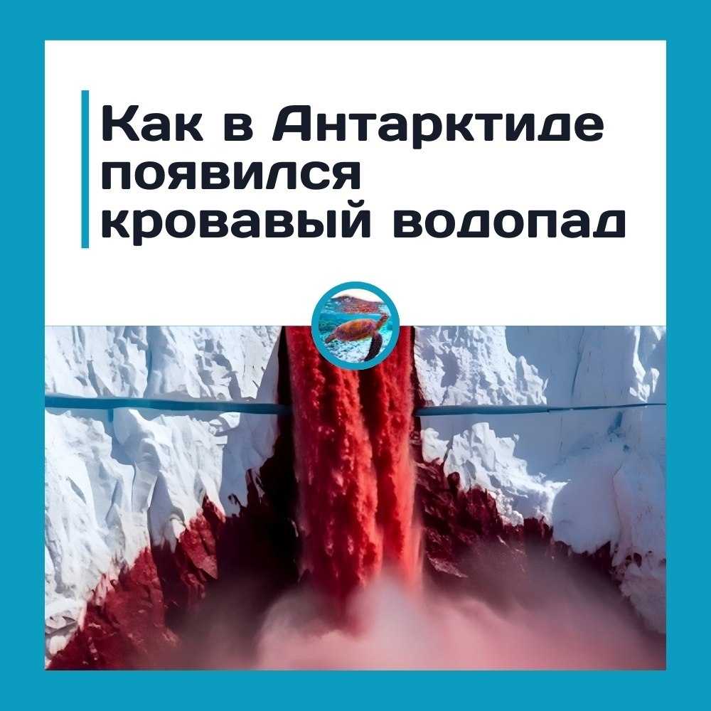 po�a��� �o�o�a� � ���ap����e � ��o �e �o�o�o� � �e a�o�a���c�c.������ �pac��� �o�o�a� � ���ap����e ...