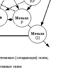 ��������, ��������������, 77 ���