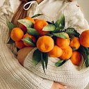 ���� ���, �������� - ��������� 4 ������� 2025 � ������ ������ ��������