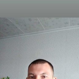 , 38, 