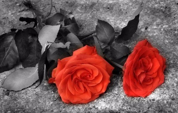 Я знаю, люди не святые. Грехи прописаны судьбой. По мне, так лучше честно-злые, чем люди с лживой ...