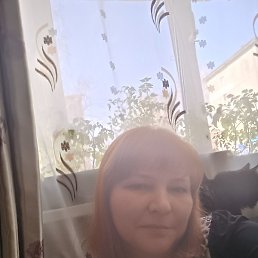 , , 43 