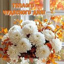 ���� ����, ����������� - ��������� 18 �������� 2026 � ������ ������ ��������