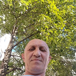 , 49 , 