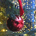 ���� ������ ����, ������, 49 ��� - ��������� 7 ������ 2026 � ������ ������ ��������