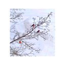 ���� �����, ������ ��������, 64 ���� - ��������� 23 ������� 2026