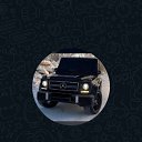 ���� �������, ������, 41 ��� - ��������� 19 ���� 2025 � ������ ���� ����������