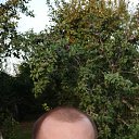 ���� �������, ���������, 39 ��� - ��������� 19 ������ 2025 � ������ ���� ����������