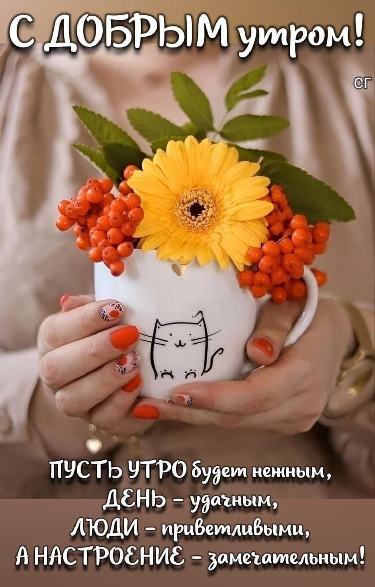 ***Victoria Viktorovna*** - 10  2024  06:23 - 2