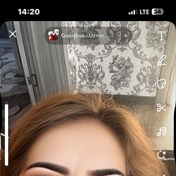 , 37,  