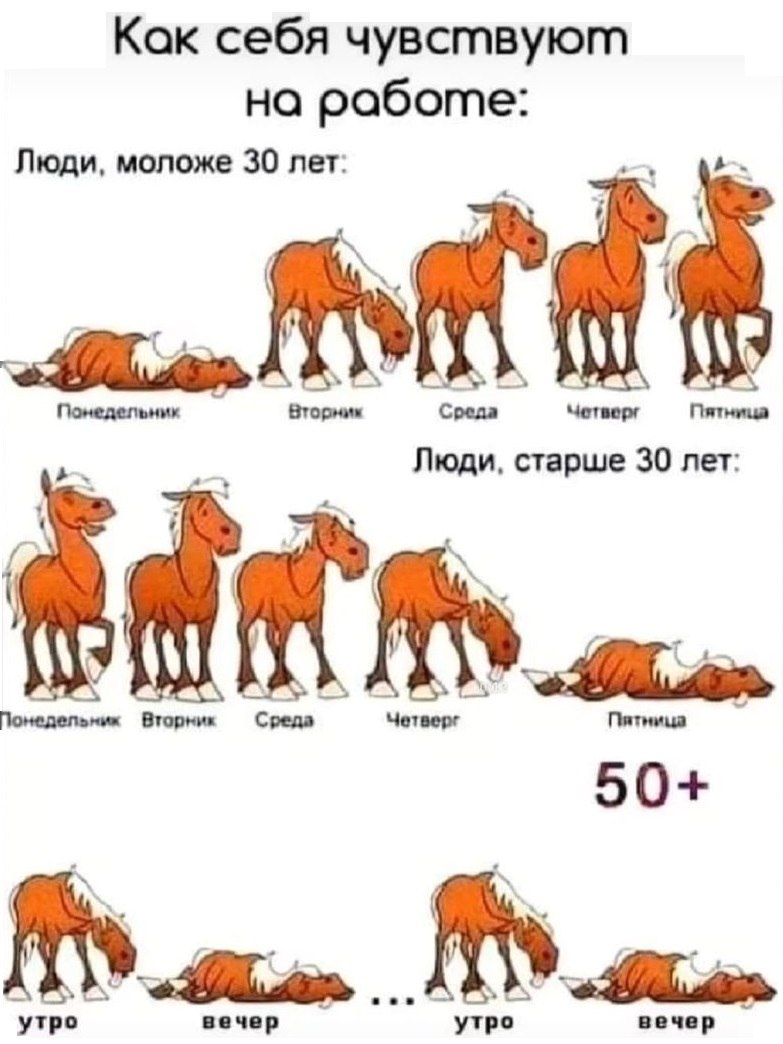   - 5  2023  15:03