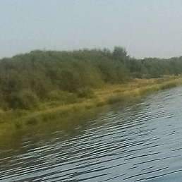 ���������, �����, 39 ���