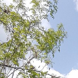 ������, ������, 42 ����