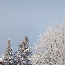 �������, ������, 63 ����