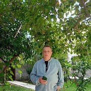 �������, 49 ���, ������