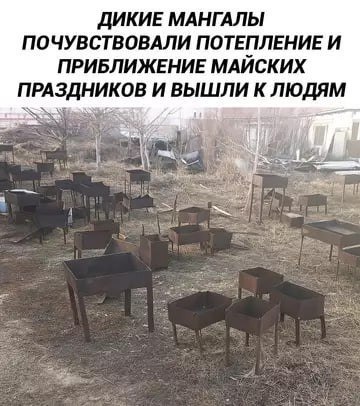   - 7  2025  11:15