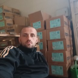 , 30, 
