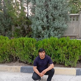 , 20, 