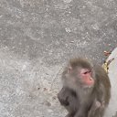 ���� �������, ������, 45 ��� - ��������� 16 ������ 2026 � ������ ���� ����������