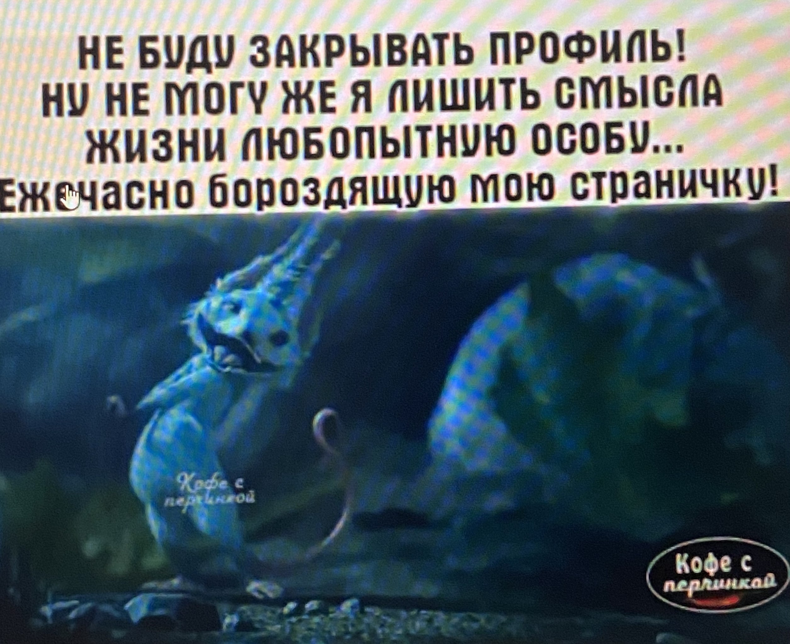 � ��� ��� ���������� - 16 ���� 2024 � 16:46