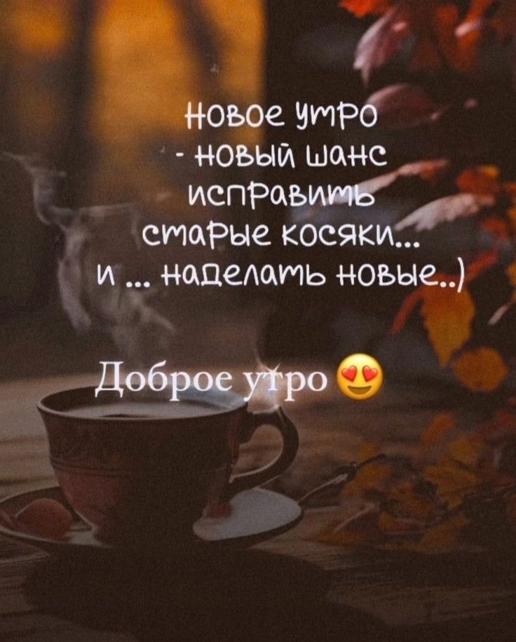  - 14  2025  06:33