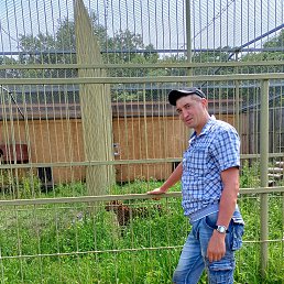 ���� ������, �����������, 37 ��� - ��������� 21 ������ 2026