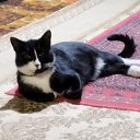 ���� �����, �����-���������, 60 ��� - ��������� 8 ������ 2025