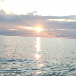 ���� �����, ����, 53 ���� - ��������� 18 ������ 2026