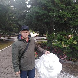 , 43 , 