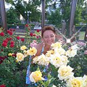 ���� ����, ������, 50 ��� - ��������� 25 ���� 2024 � ������ ���� ����������