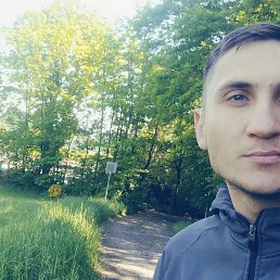 , 29, 