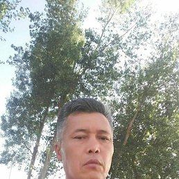, 51, 