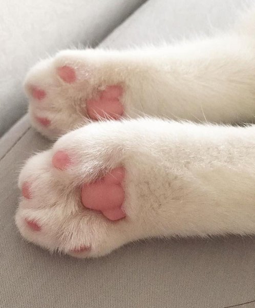   :3 - 4