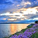 ���� �����, ����� - ��������� 26 ��� 2024 � ������ ������ ��������