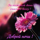 ���� ������, �������� - ��������� 8 ������� 2026 � ������ ������ ��������