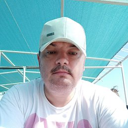 ���������, ������������, 56 ���