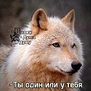 ���� �������, ��������, 61 ��� - ��������� 10 ��� 2025 � ������ ���� ����������